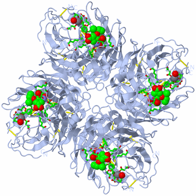 Image Biol. Unit 1 - sites