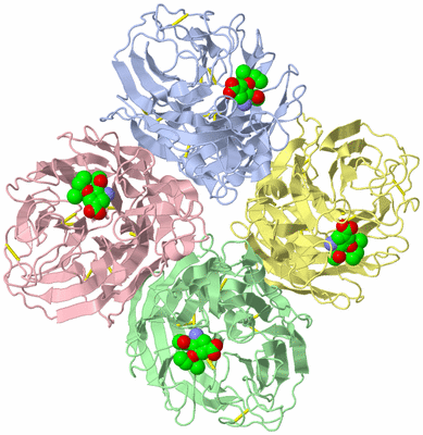 Image Biological Unit 1