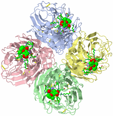 Image Biol. Unit 1 - sites