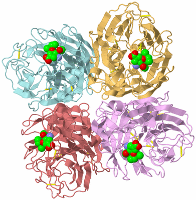 Image Biological Unit 2