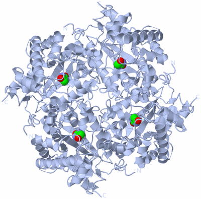 Image Biological Unit 1