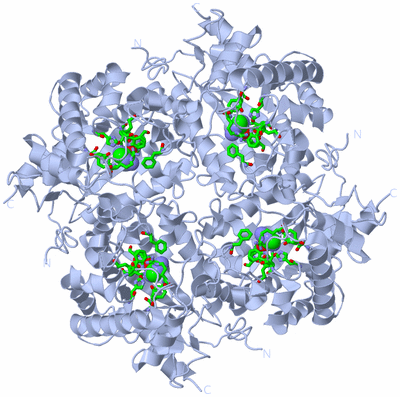 Image Biol. Unit 1 - sites