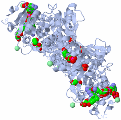 Image Biological Unit 2