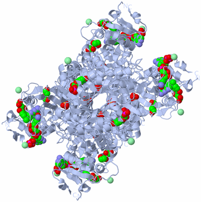 Image Biological Unit 3