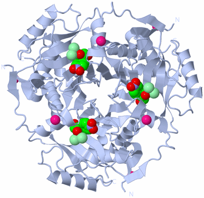 Image Biological Unit 1