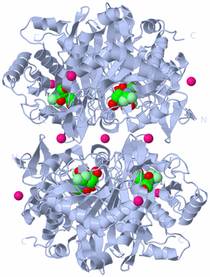 Image Biological Unit 2