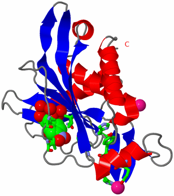 Image Asym. Unit - sites