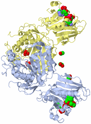 Image Biological Unit 1