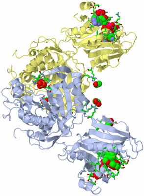 Image Biol. Unit 1 - sites