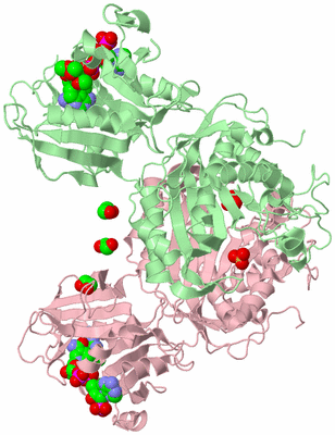 Image Biological Unit 2