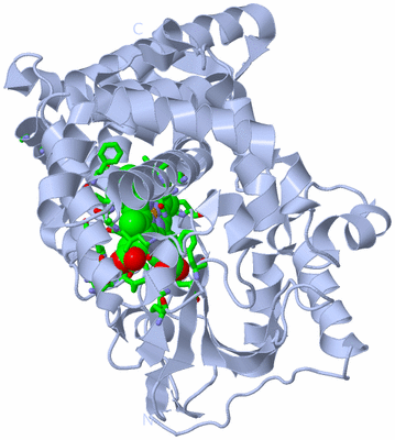 Image Biol. Unit 1 - sites