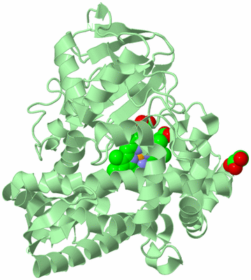 Image Biological Unit 2