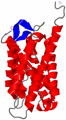 Image Asymmetric Unit
