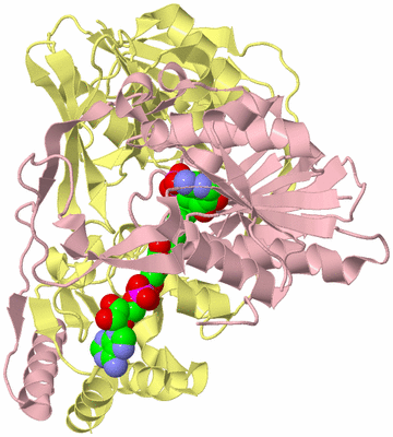 Image Asym./Biol. Unit