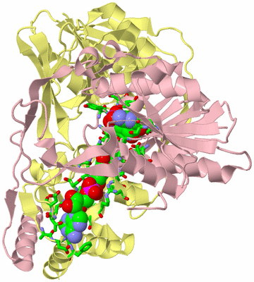 Image Asym./Biol. Unit - sites