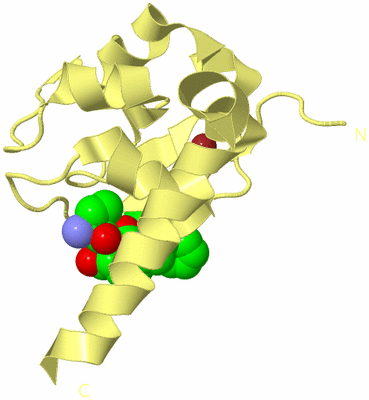 Image Biological Unit 4