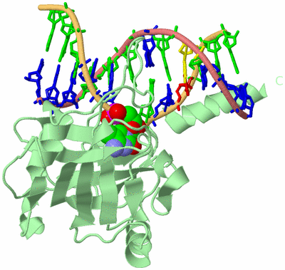 Image Biological Unit 2