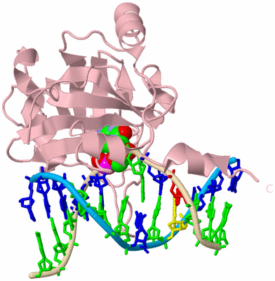 Image Biological Unit 3