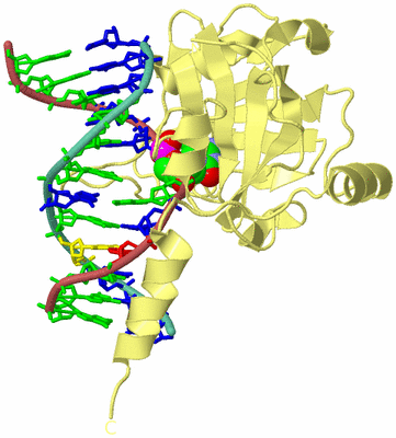 Image Biological Unit 4