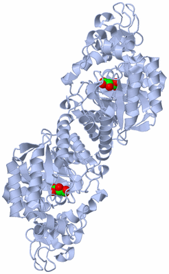 Image Biological Unit 1