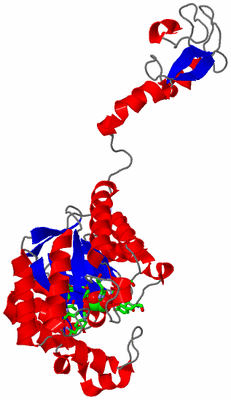 Image Asym. Unit - sites