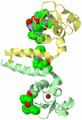 Image Biological Unit 1