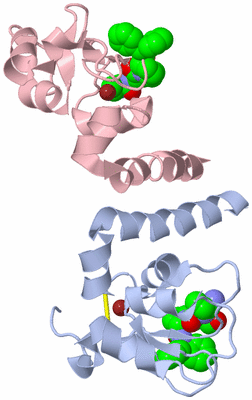 Image Biological Unit 2