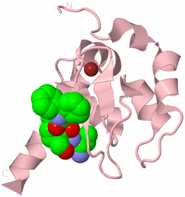 Image Biological Unit 3