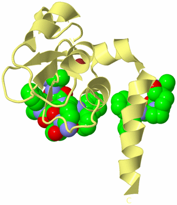 Image Biological Unit 6