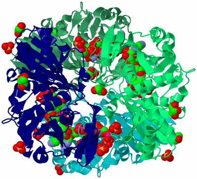 Image Asym./Biol. Unit