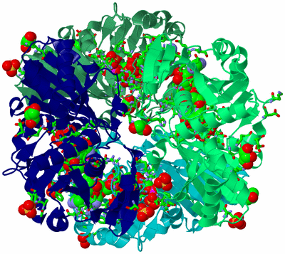 Image Asym./Biol. Unit - sites