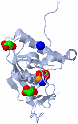 Image Biological Unit 1