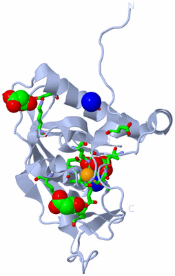 Image Biol. Unit 1 - sites