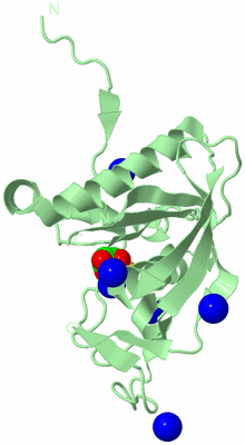 Image Biological Unit 2