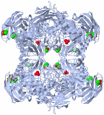 Image Biological Unit 1