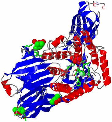 Image Asym. Unit - sites