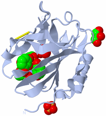 Image Biological Unit 1