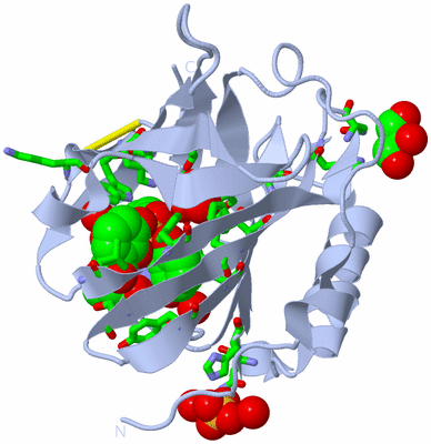 Image Biol. Unit 1 - sites