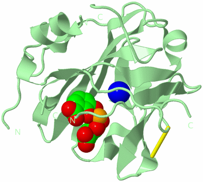 Image Biological Unit 2