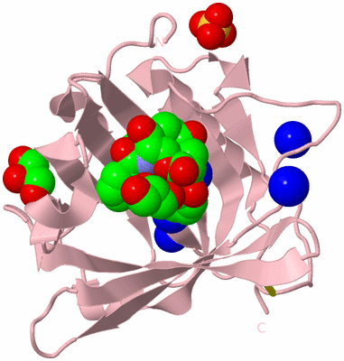 Image Biological Unit 3