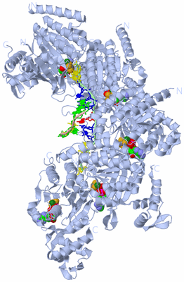 Image Biological Unit 1