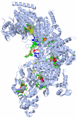 Image Biol. Unit 1 - sites