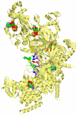 Image Biological Unit 2