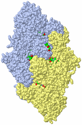 Image Asym. Unit - sites