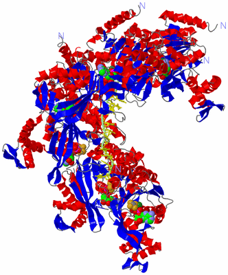 Image Asym./Biol. Unit