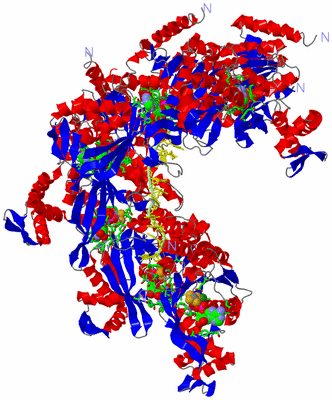 Image Asym./Biol. Unit - sites