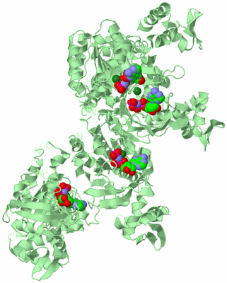 Image Biological Unit 2