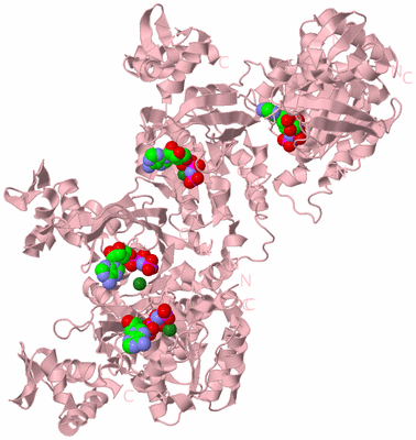 Image Biological Unit 3