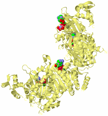 Image Biological Unit 4