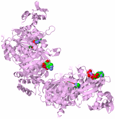 Image Biological Unit 5